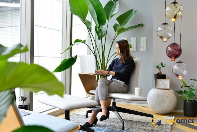 Thuê cây cảnh cho văn phòng mang tới nhiều ưu điểm tuyệt vời