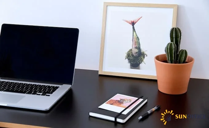 Hạn chế đặt cây xương rồng trên bàn làm việc